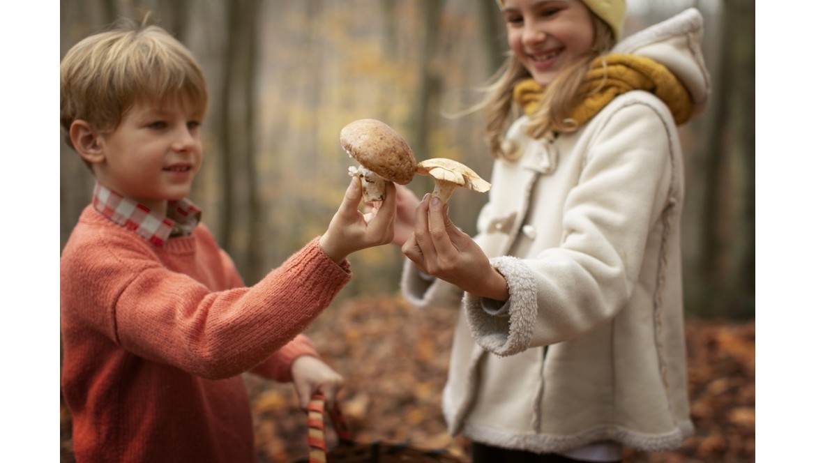 Czy w ciąży można jeść grzyby? 